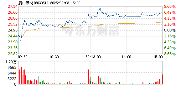 R图 603051_1