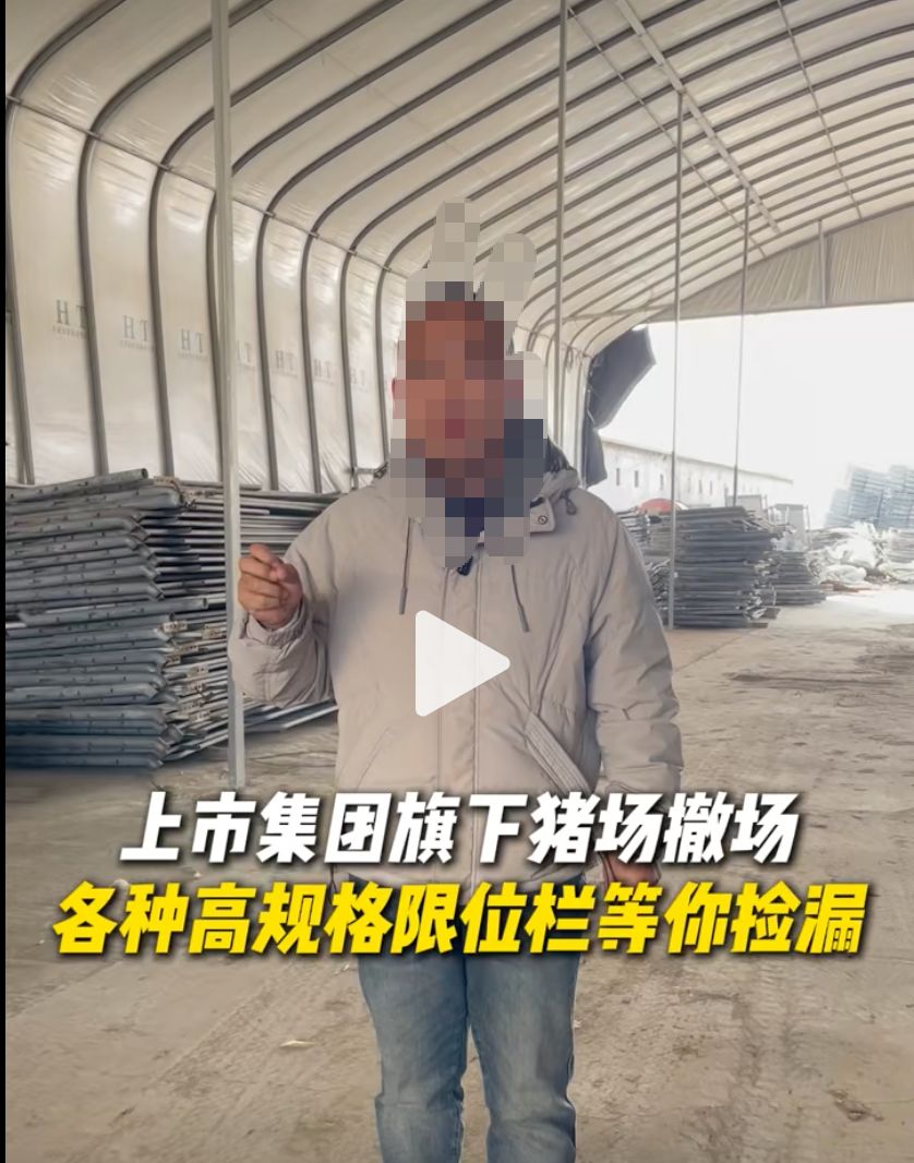 猪价跌至近15年低点 短视频热传“集团猪场倒闭潮” 真相如何？