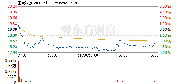R图 300993_2