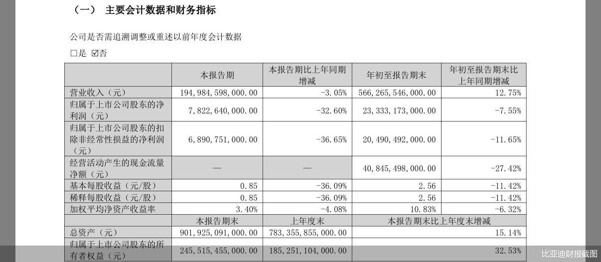 比亚迪财报截图