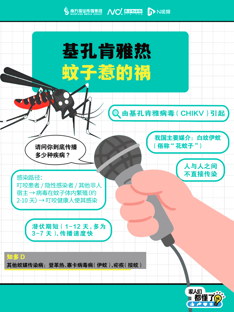 810x1080_688339f5da4fb.png?X-Amz-Content