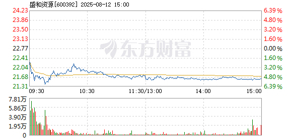 R图 600392_1