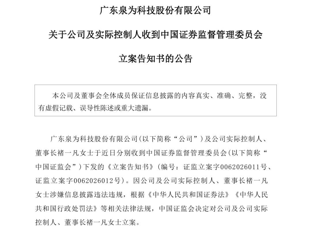 95后董事长被立案！公司借款1500万元，支付员工工资、社保、住房公积金等