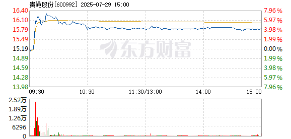 R图 600992_1