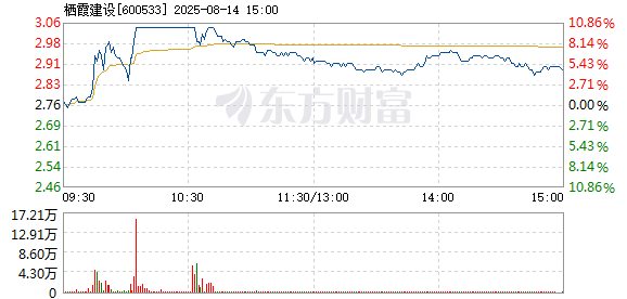 R图 600533_1