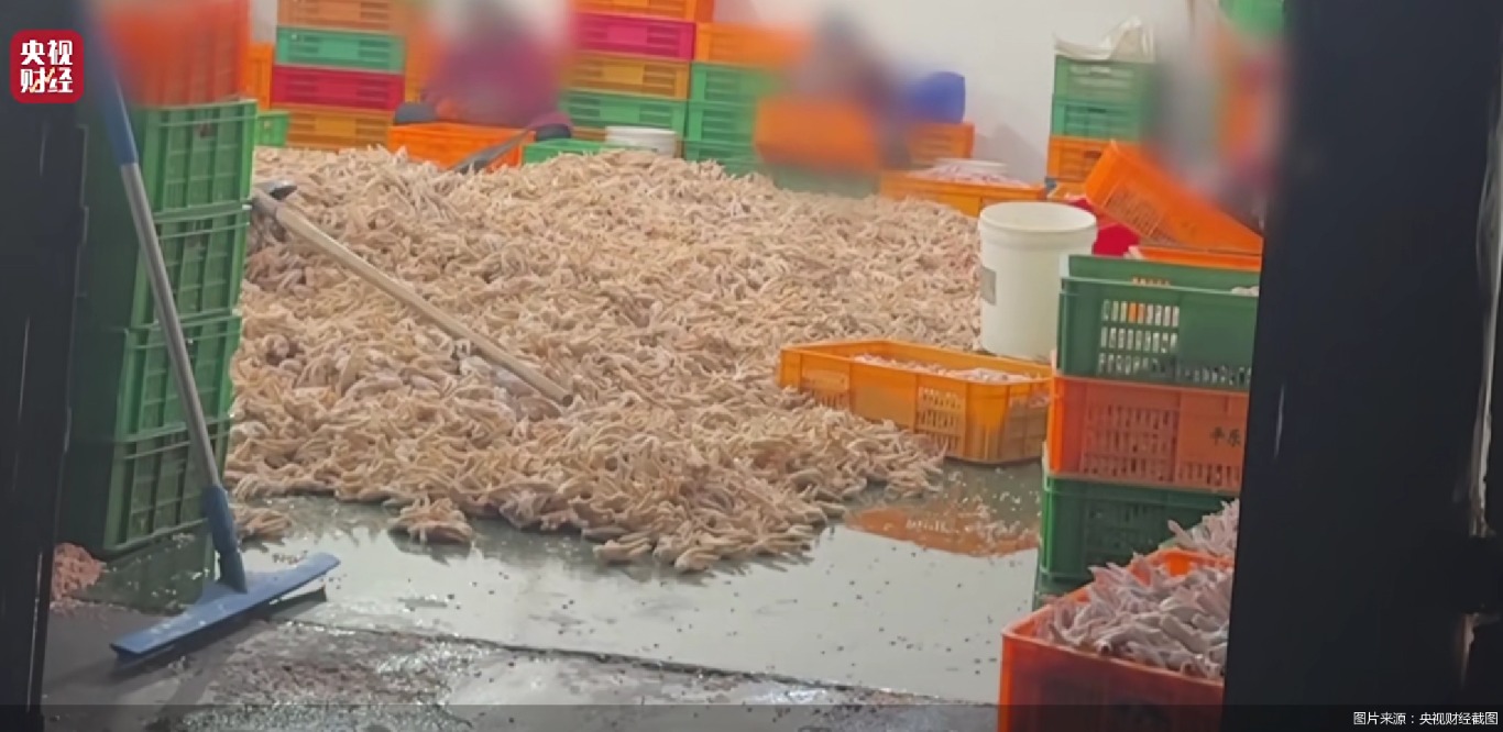 图片来源：央视财经截图