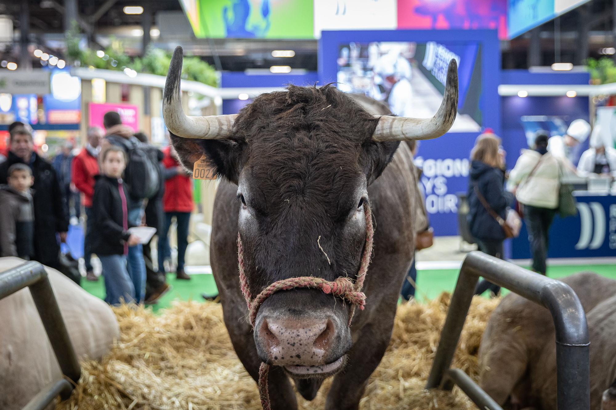 425011088212455425.jpg 425011088212455425.jpg