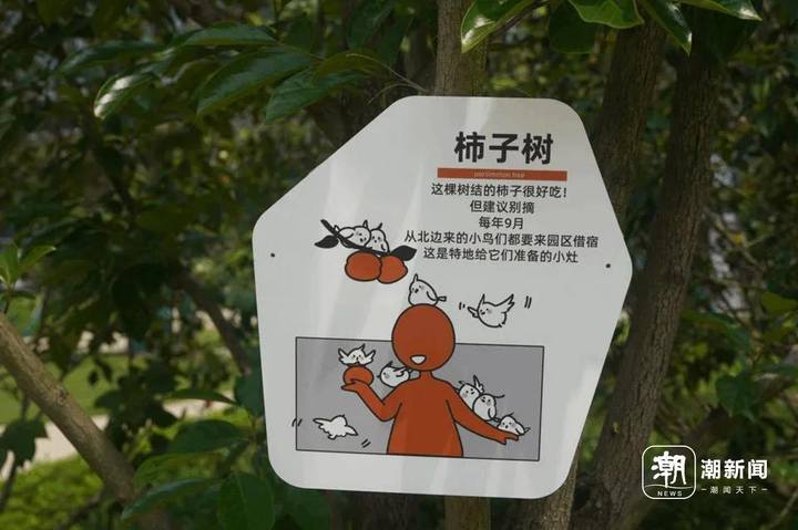 昨天文一西路太热闹了!