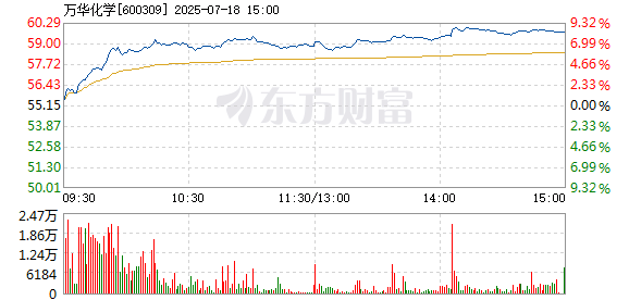 R图 600309_1