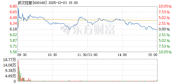 R图 600168_1