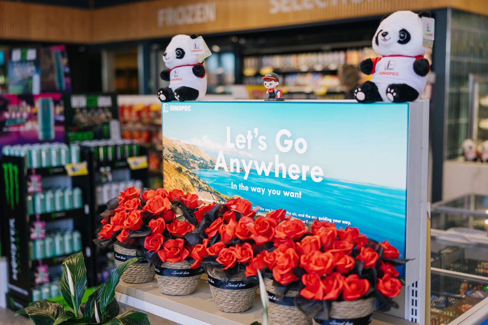 408453037464776705.jpg 408453037464776705.jpg