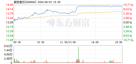 R图 600596_1