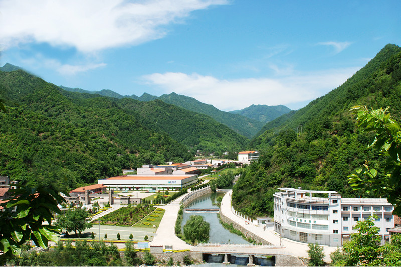 1740556830986963.jpeg IMG_0343.jpeg