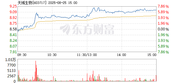 R图 603717_1