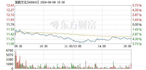 R图 600633_1