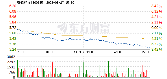 R图 300385_2