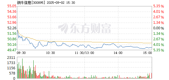 R图 300895_2