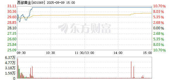R图 601069_1
