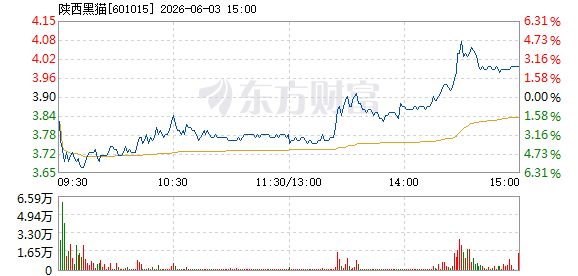 R图 601015_1