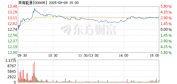 R图 000695_2