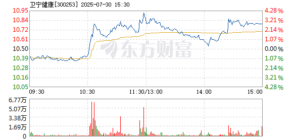 R图 300253_2