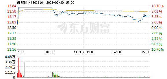 R图 603316_1