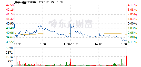 R图 300907_2