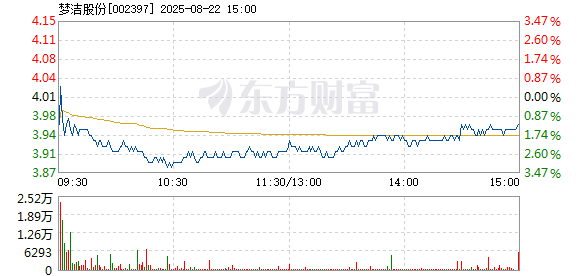 R图 002397_2