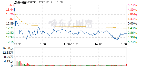 R图 600590_1