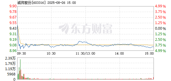R图 603316_1