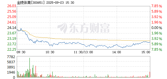 R图 300651_2