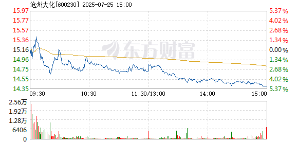 R图 600230_1