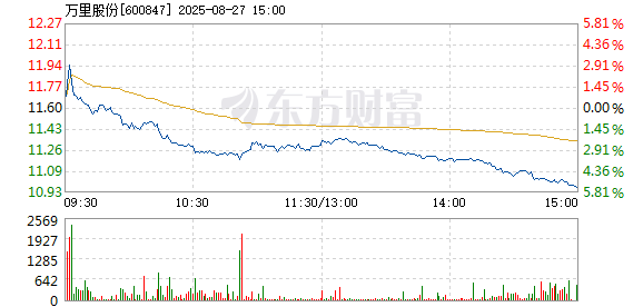 R图 600847_1
