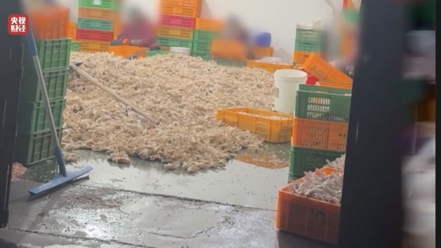3·15曝光鸡爪用双氧水漂白生产氛围脏乱，多地市监局介入调查