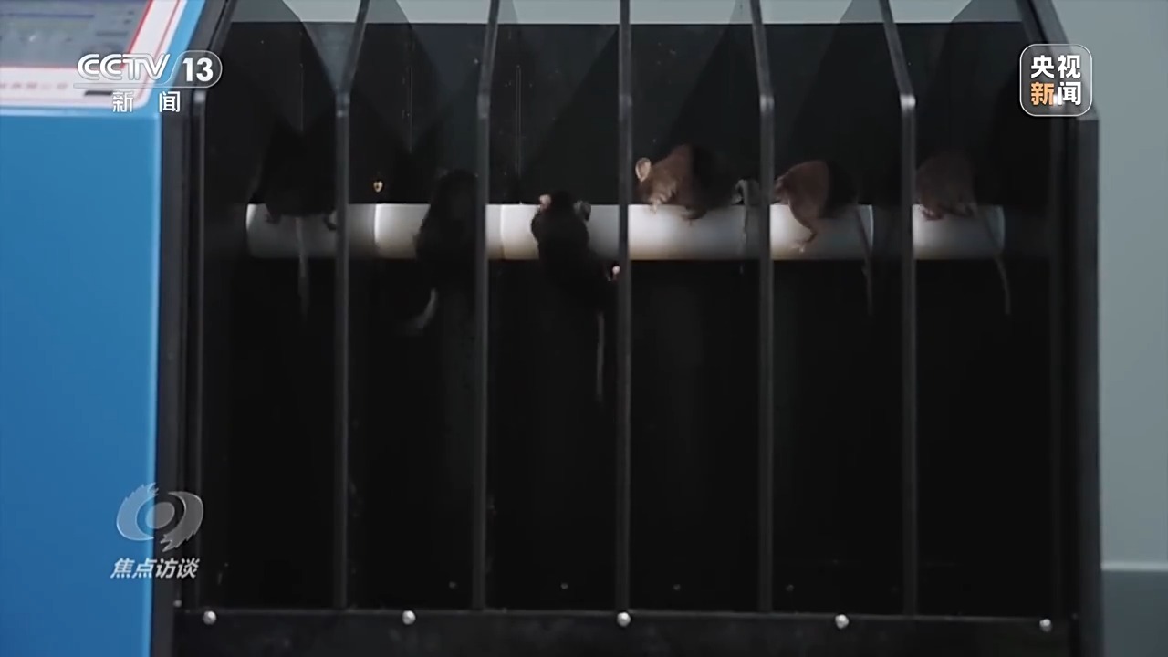 ed5243bf-01e3-4f81-9203-9f1b0a926bcf.jpe