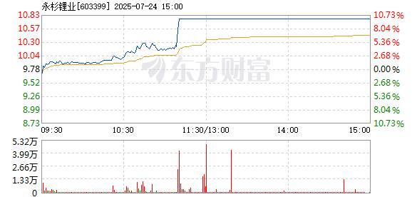 R图 603399_1