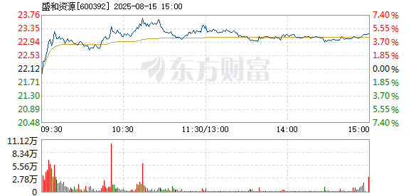 R图 600392_1