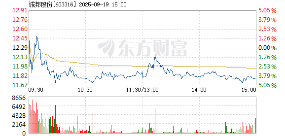 R图 603316_1