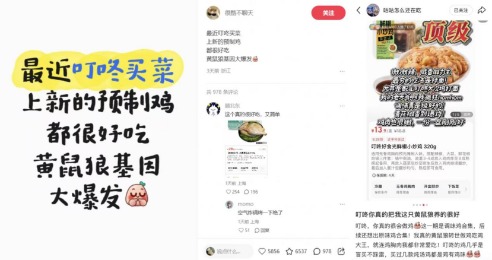imagefile 图片