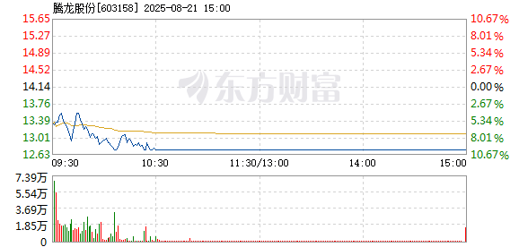R图 603158_1
