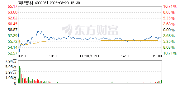 R图 600206_1
