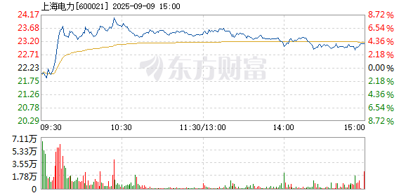 R图 600021_1