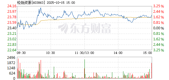 R图 603863_1
