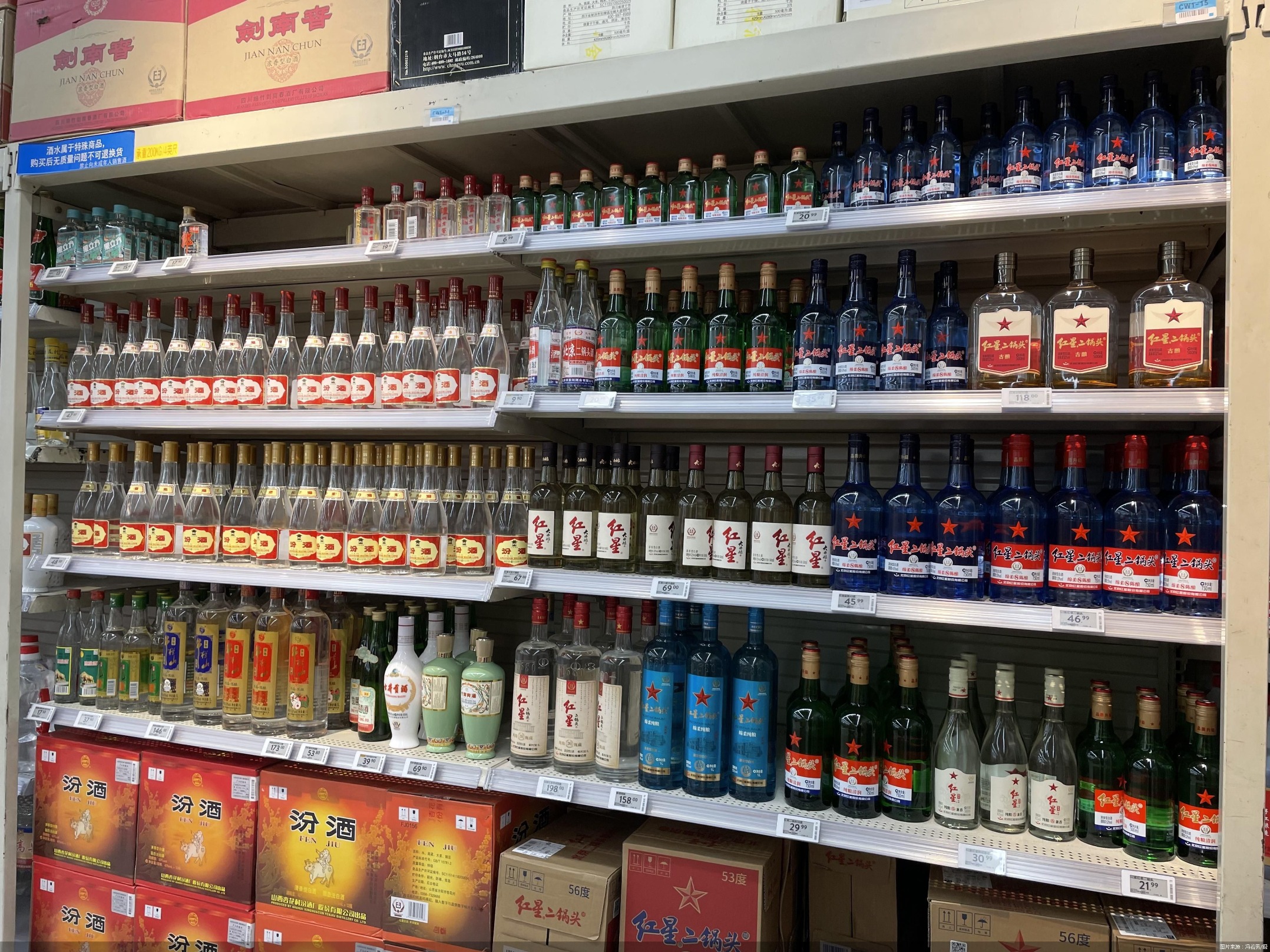 图片来源：冯若男/摄