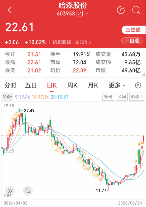 哈森股份涨停.png