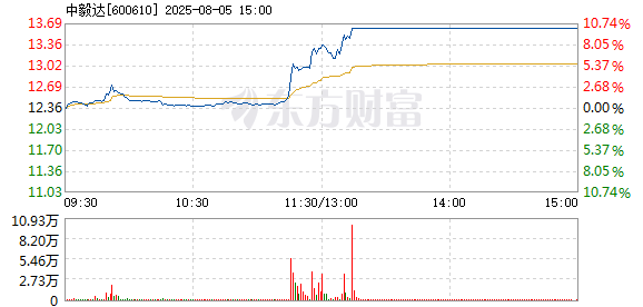 R图 600610_1