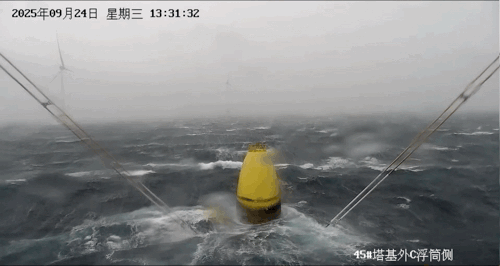 动图1天成号.gif