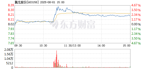 R图 603158_1