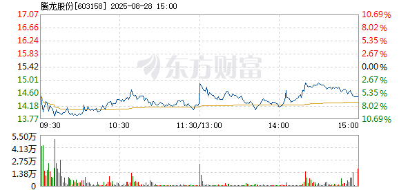 R图 603158_1
