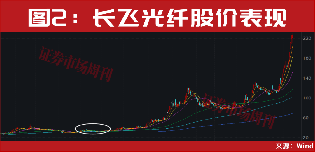 601869、600487，算力新人气龙头！股价最近一轮涨幅均超100%！